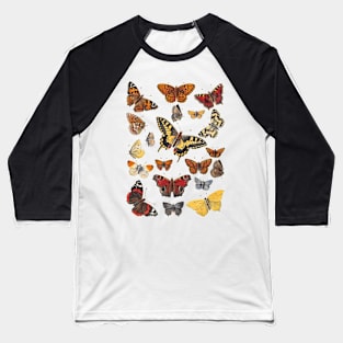 Group of Butterflies - Vintage Insect/Bug Illustration Baseball T-Shirt